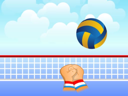 Volleyball